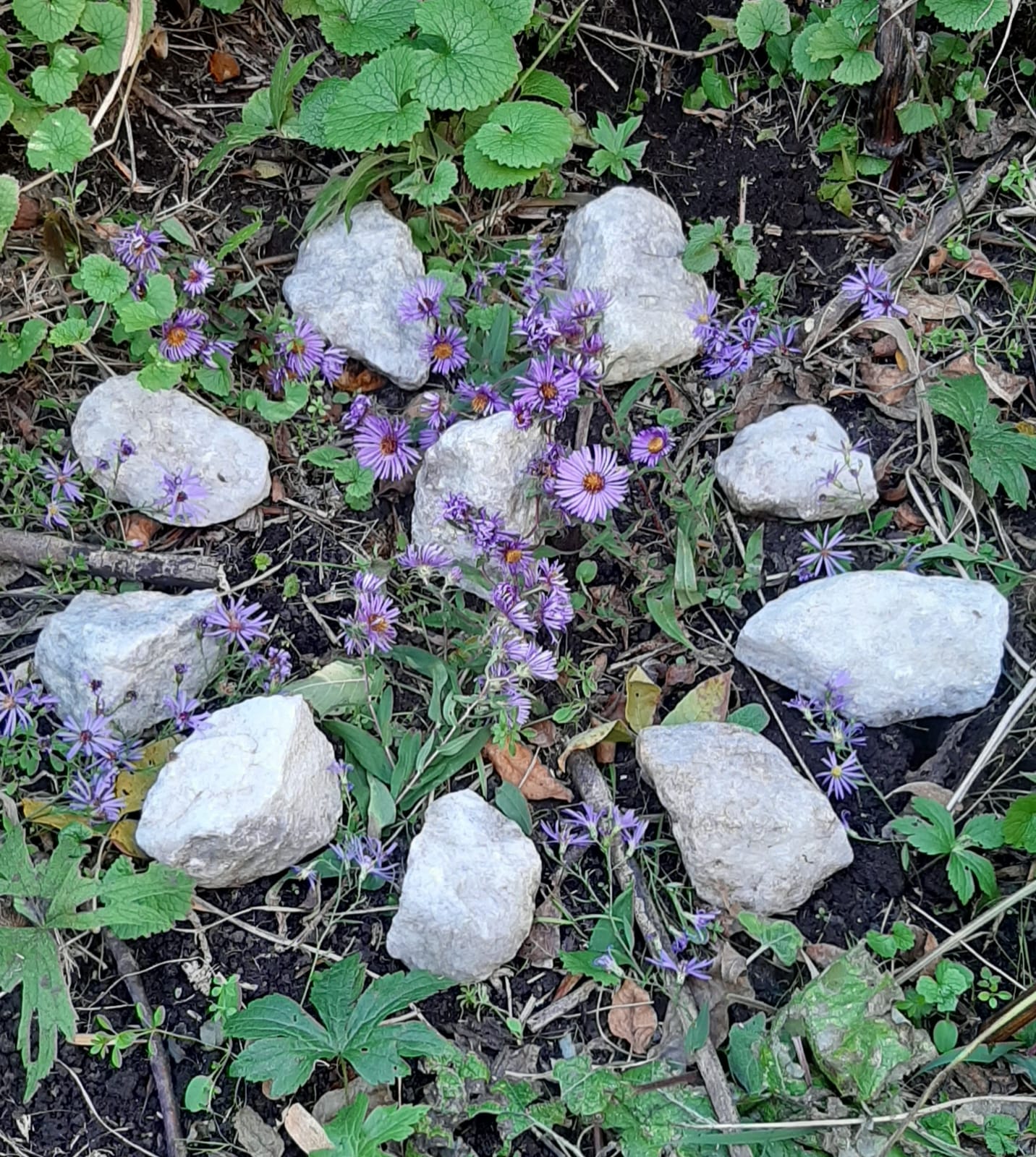 Grid near quarry